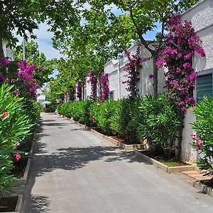 Oasi Le Dune Resort